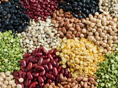 plant-protein-legumes